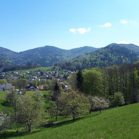 Ferienwohnung Schwarzwaldblick Bühlertal Esterno foto