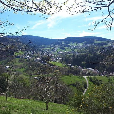 Ferienwohnung Schwarzwaldblick Bühlertal Esterno foto