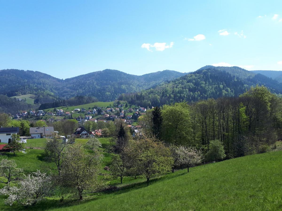 Ferienwohnung Schwarzwaldblick Bühlertal Esterno foto