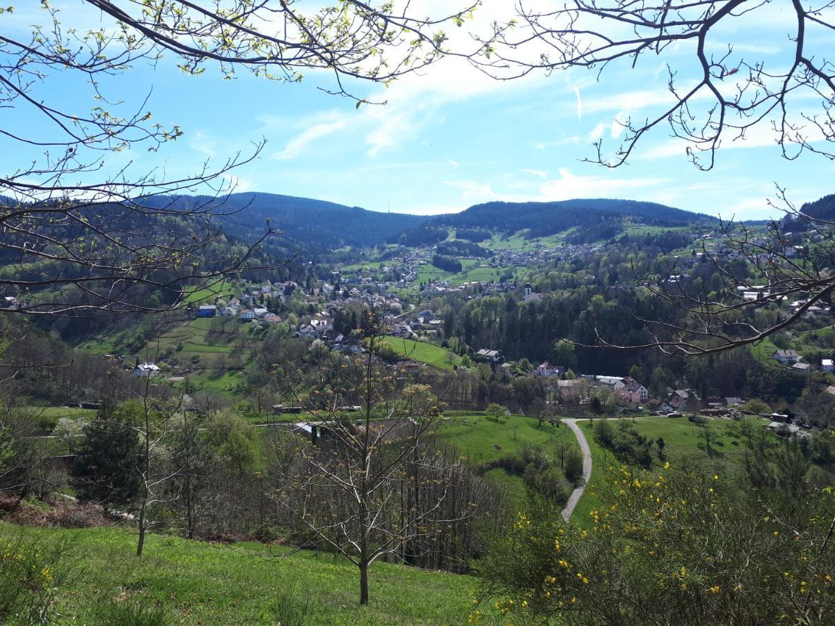 Ferienwohnung Schwarzwaldblick Bühlertal Esterno foto